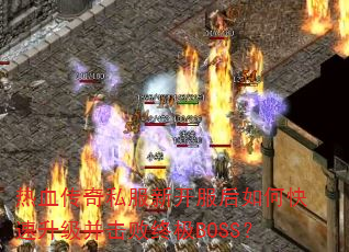 Ѫ˽¿οռBOSS