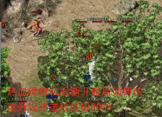 Ѫ˽¿οռBOSS
