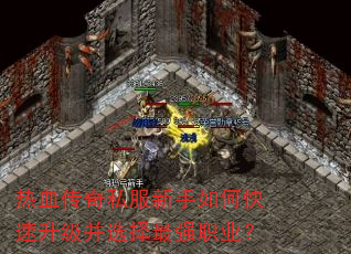 Ѫ˽οѡǿְҵ