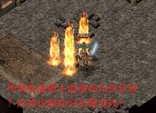 ˽λȡЧưϷ