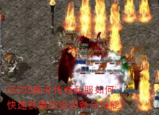 65535¿˽οٻȡװ뼼ܣ