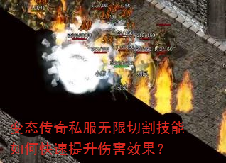 ̬˽иο˺Ч