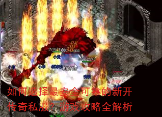 ѡȫɿ¿˽Ϸȫ