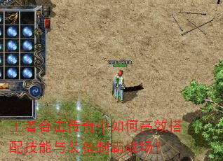 ߺϻθЧ似װưս