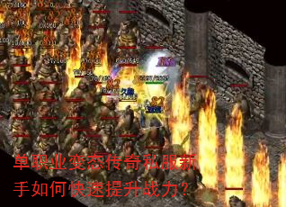ְҵ̬˽οս
