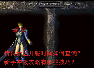 ʱβѯֳ弶Щɣ