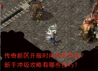 ʱβѯֳ弶Щɣ