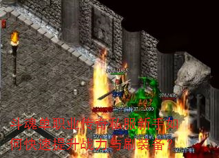 굥ְҵ˽οսˢװ