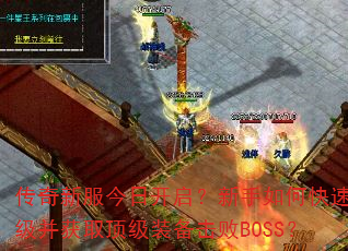 ·տοȡװBOSS