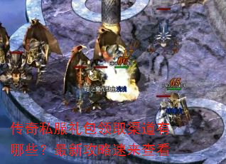 ˽ȡЩ¹鿴