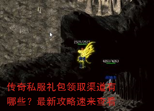 ˽ȡЩ¹鿴