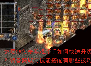 免费GM传奇游戏新手如何快速升级?装备获取与技能搭配有哪些技巧? 免费GM传奇游戏新手如何快速升级?装备获取与技能搭配有哪些技巧?