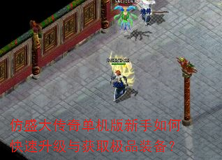 ʢ浥οȡƷװ
