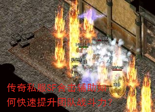 ˽SFϻοŶս