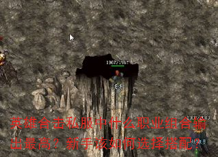 Ӣۺϻ˽ʲôְҵߣָѡ䣿