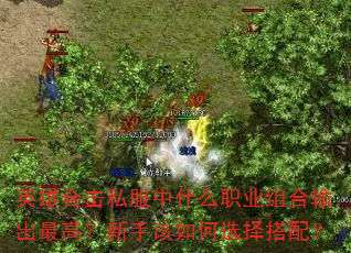 Ӣۺϻ˽ʲôְҵߣָѡ䣿