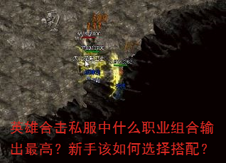 Ӣۺϻ˽ʲôְҵߣָѡ䣿