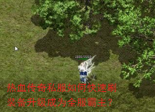 热血传奇私服如何快速刷装备升级成为全服霸主? 热血传奇私服如何快速刷装备升级成为全服霸主?