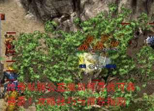 传奇私服公益服如何寻找可靠资源?攻略技巧与推荐指南 传奇私服公益服如何寻找可靠资源?攻略技巧与推荐指南