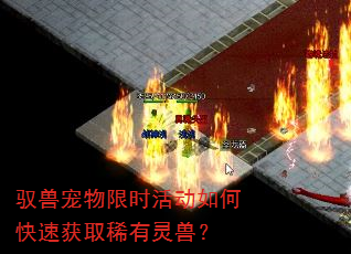 驭兽宠物限时活动如何快速获取稀有灵兽? 驭兽宠物限时活动如何快速获取稀有灵兽?