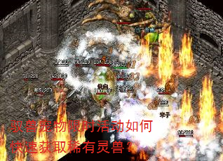 驭兽宠物限时活动如何快速获取稀有灵兽? 驭兽宠物限时活动如何快速获取稀有灵兽?