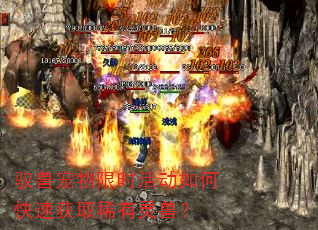 驭兽宠物限时活动如何快速获取稀有灵兽? 驭兽宠物限时活动如何快速获取稀有灵兽?