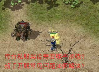 传奇私服架设需要哪些步骤?新手开服常见问题如何解决? 传奇私服架设需要哪些步骤?新手开服常见问题如何解决?