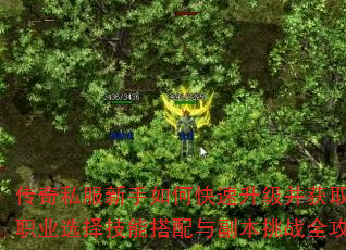 传奇私服新手如何快速升级并获取顶级装备?职业选择技能搭配与副本挑战全攻略解析? 传奇私服新手如何快速升级并获取顶级装备?职业选择技能搭配与副本挑战全攻略解析?