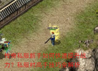 传奇私服新手如何快速提升战力?私服村高手技巧全解析 传奇私服新手如何快速提升战力?私服村高手技巧全解析