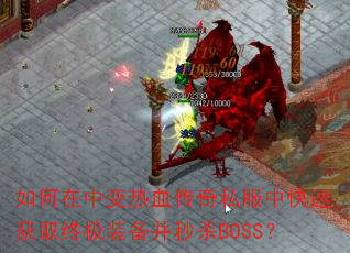 бѪ˽пٻȡռװɱBOSS